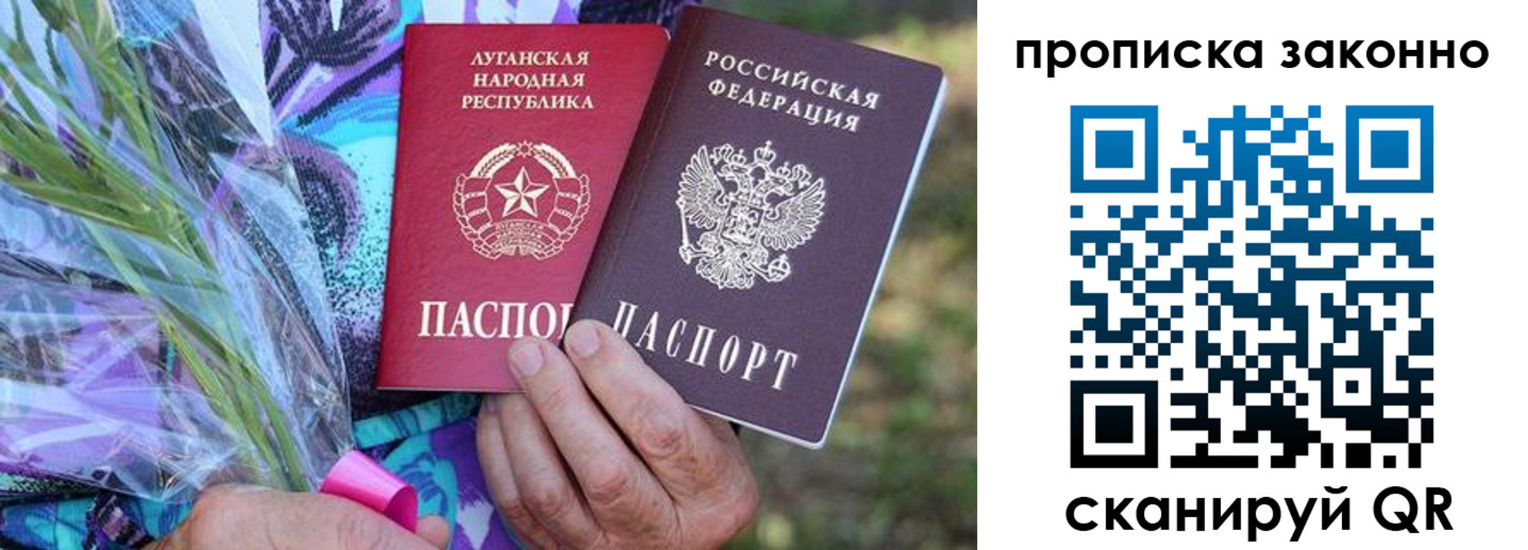 прописка для школы в Кингисеппе